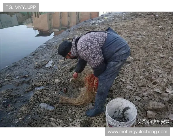 PA捕鱼网站最新攻略全面解析助你轻松上分提升捕鱼技巧